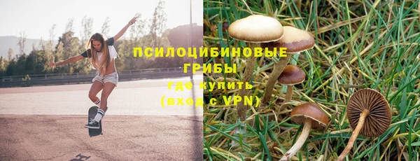 твердый Алексин