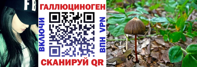 купить наркотик  Николаевск-на-Амуре  Псилоцибиновые грибы MAGIC MUSHROOMS 