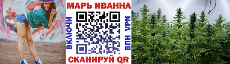Каннабис сатива Николаевск-на-Амуре